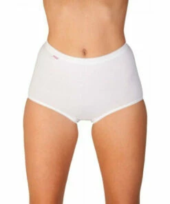Camille Three Pack Cotton Maxi Briefs For Female -Cheap Camille Store unnamed file 280