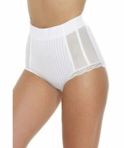 Camille Two Pack High Waisted Mesh Support Panel Control Briefs For Female -Cheap Camille Store unnamed file 309