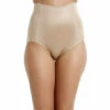 Camille Two Pack High Waisted Full Support Shapewear Briefs For Female