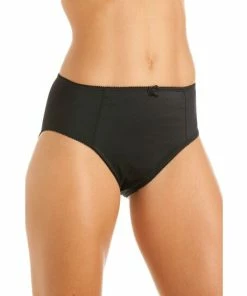 Camille Classic Style Two Pack High Waist Full Briefs For Female
